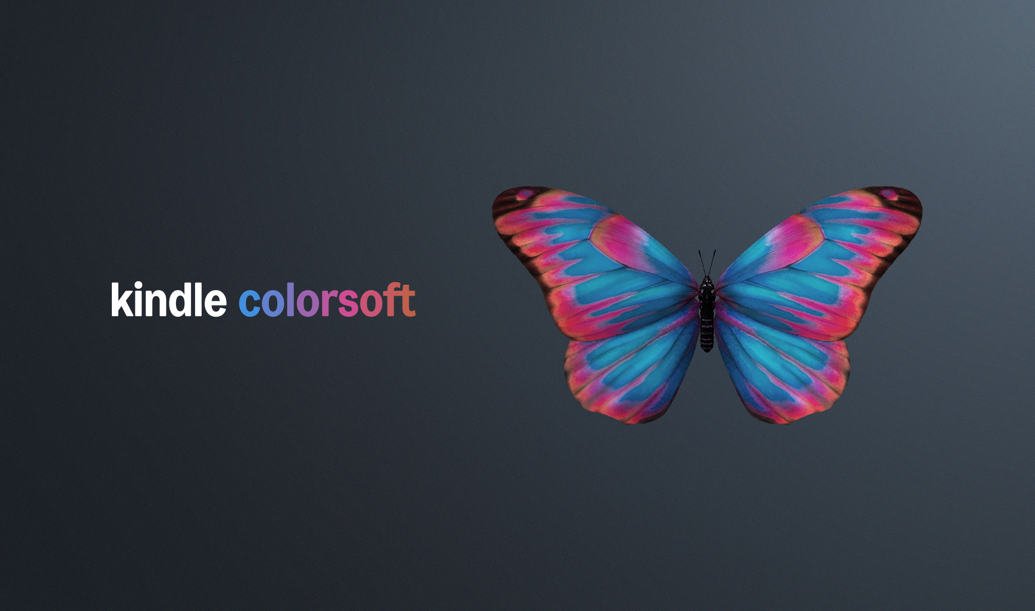 Color-Butterfly-a